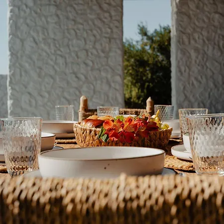 Jardino, Plaka Naxos فيلة *